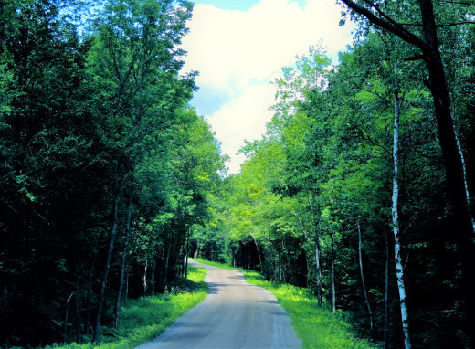 1149373 (a): :2560x1879